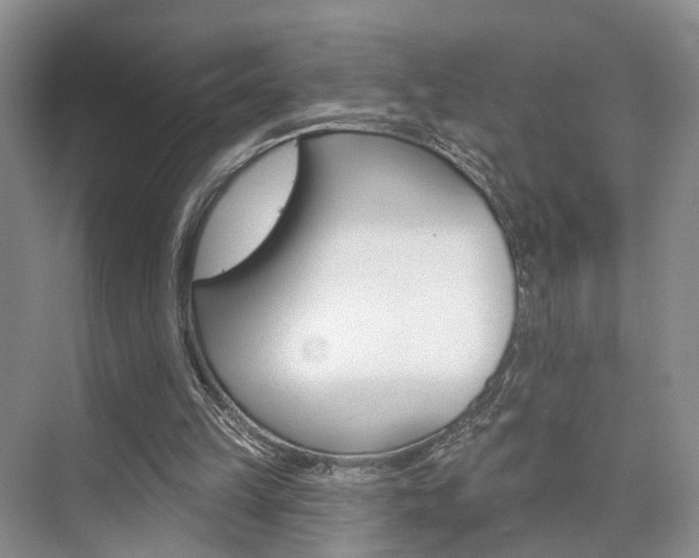 X0000076260149200609281029