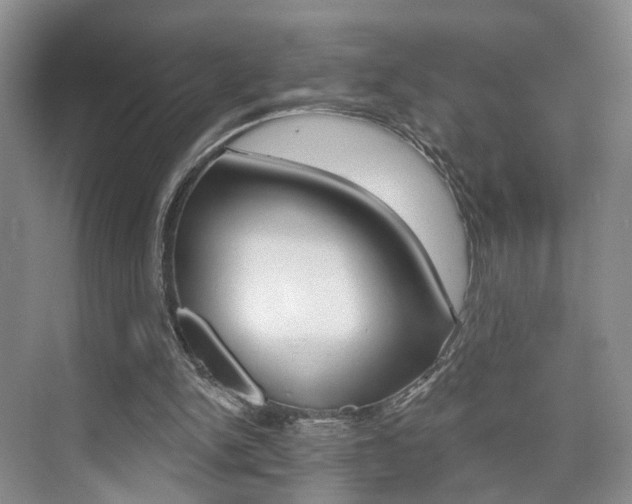 X0000076260150200609281029