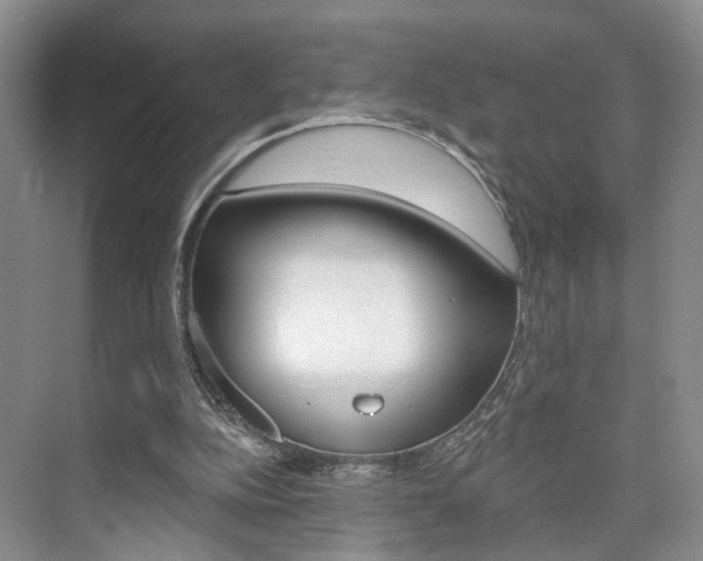 X0000076260152200609281029