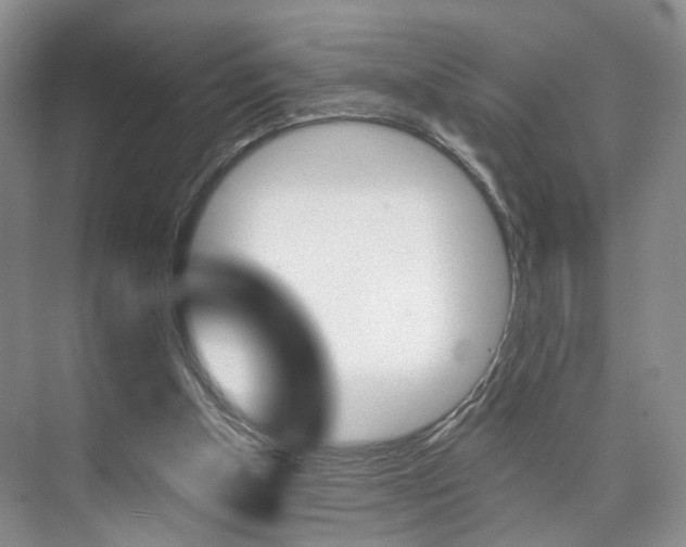 X0000076260154200609281029