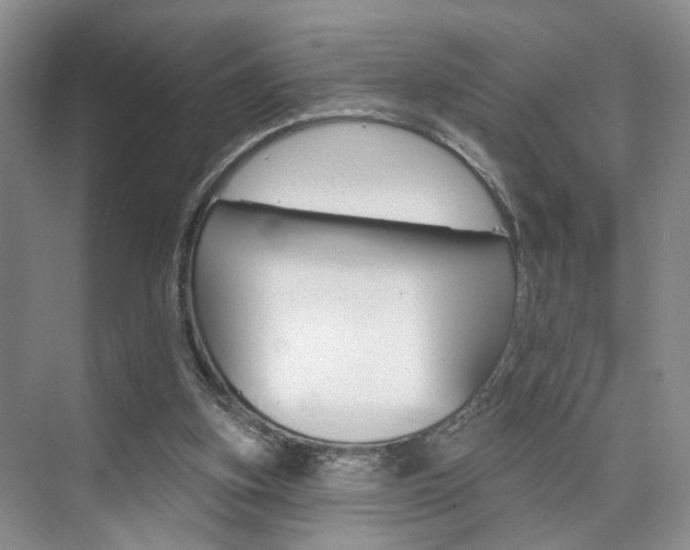 X0000076260155200609281029