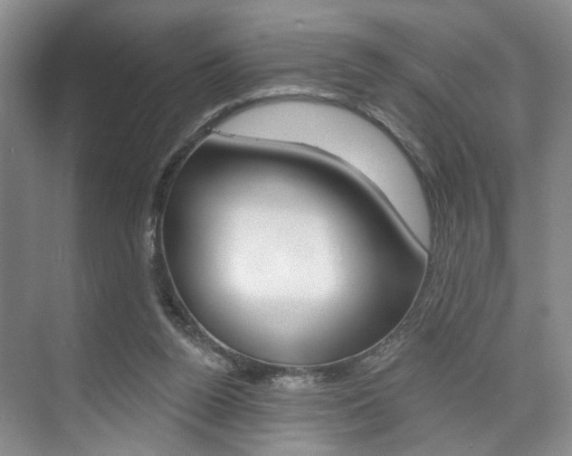 X0000076260160200609281029