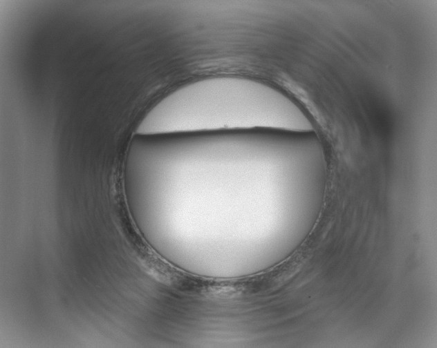 X0000076260161200609281029