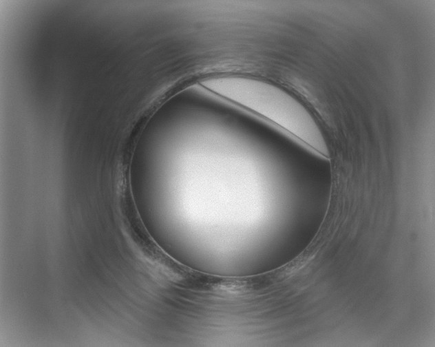 X0000076260164200609281029