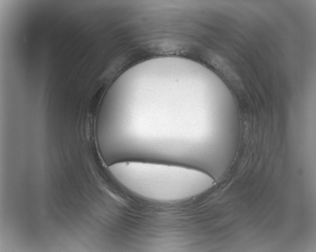 X0000076260165200609281029