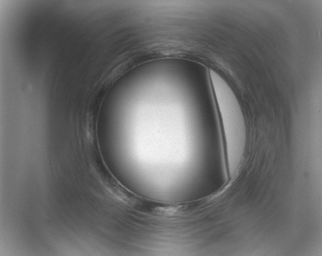 X0000076260170200609281029
