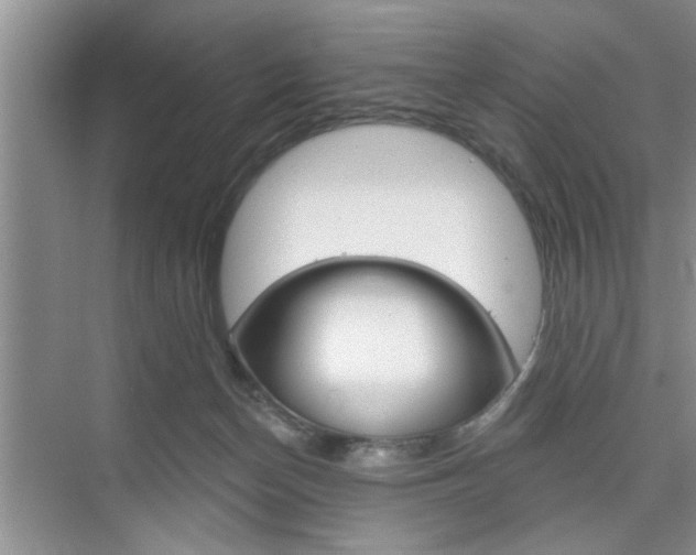 X0000076260174200609281029