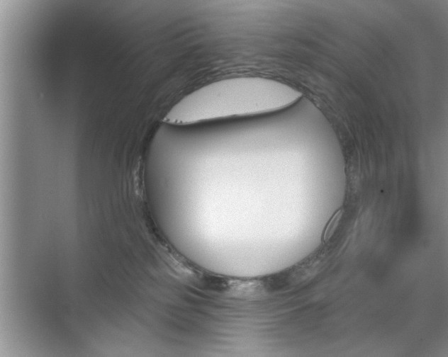 X0000076260185200609281029