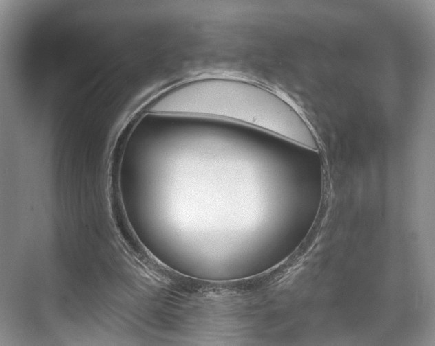 X0000076260199200609281028