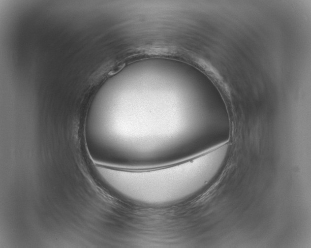 X0000076260201200609281028