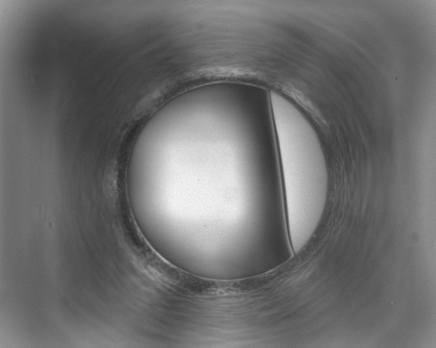 X0000076260207200609281028