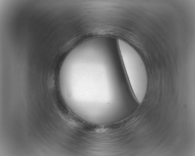 X0000076260216200609281028