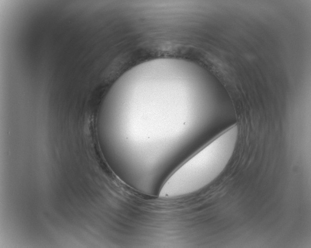 X0000076260225200609281028