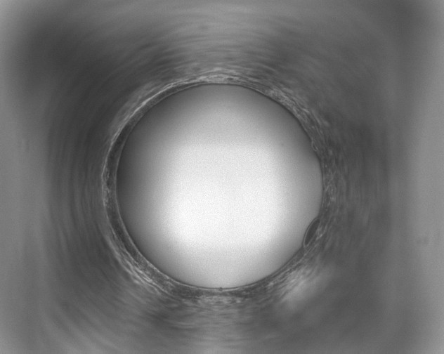 X0000076260242200609281027