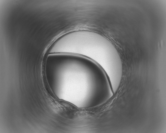 X0000076260244200609281027