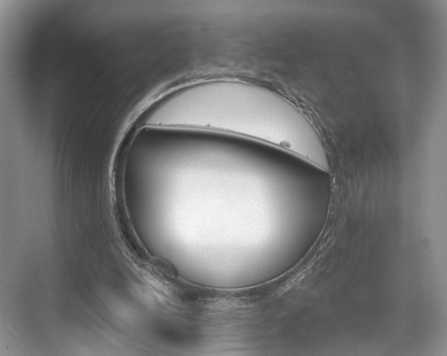 X0000076260246200609281027