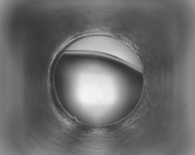 X0000076260248200609281027