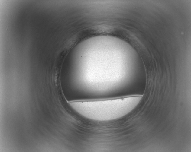 X0000076260268200609281027