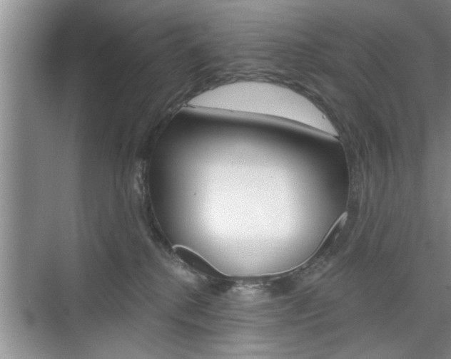 X0000076260280200609281028