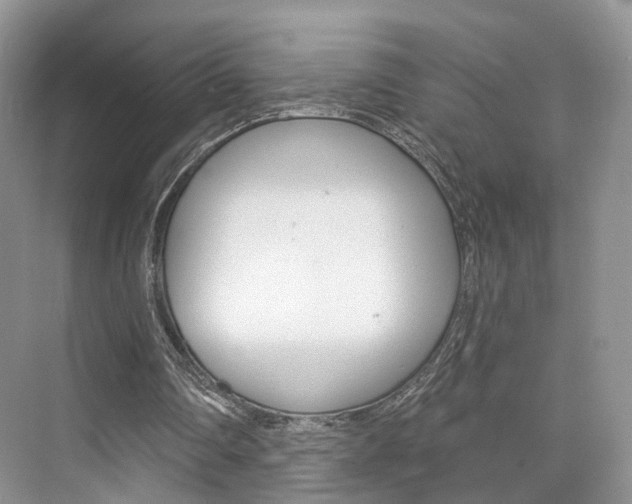 X0000076260290200609281027