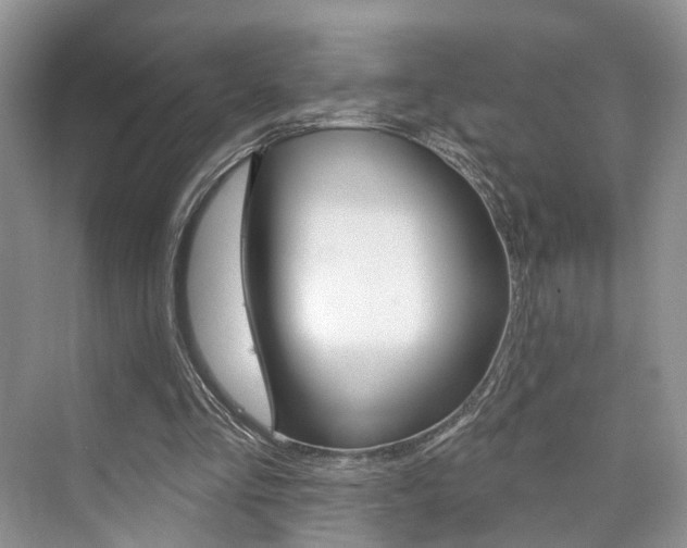 X0000076260293200609281027