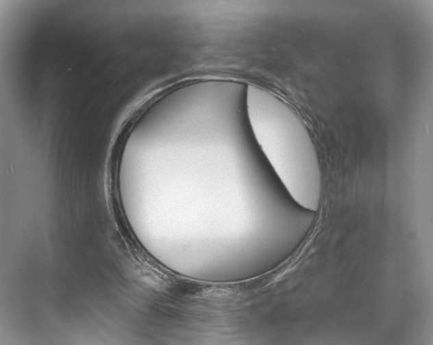 X0000076260294200609281027
