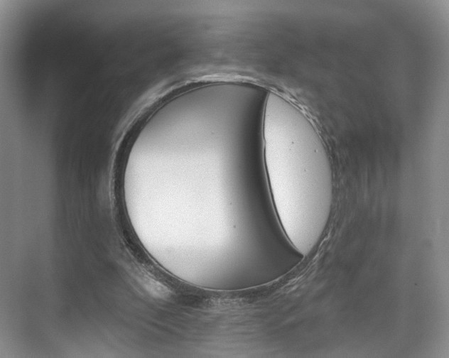 X0000076260296200609281027