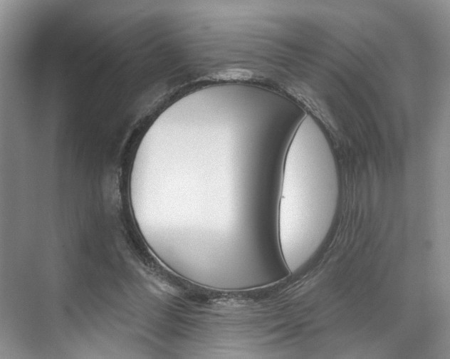 X0000076260300200609281027