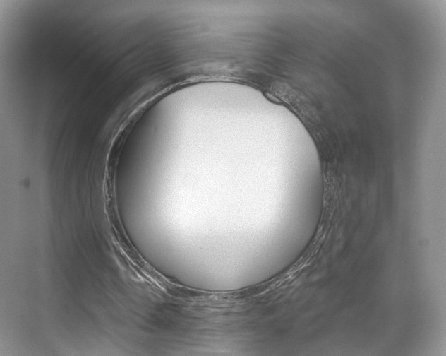 X0000076260338200609281025