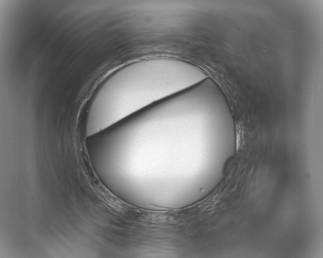 X0000076260339200609281025