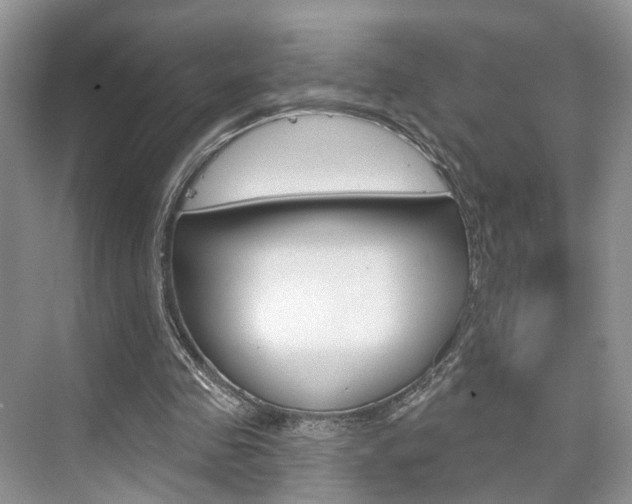 X0000076260341200609281025