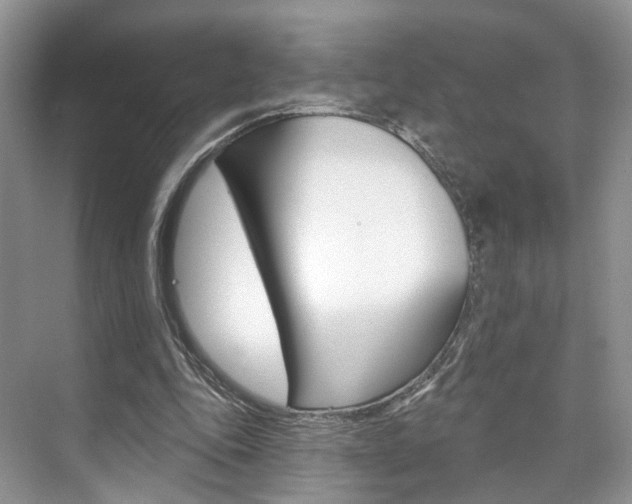 X0000076260343200609281025