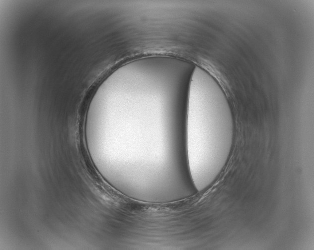 X0000076260346200609281025
