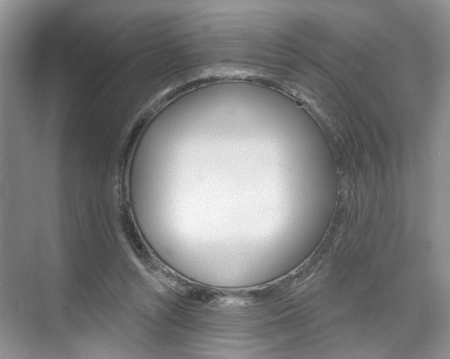 X0000076260352200609281026