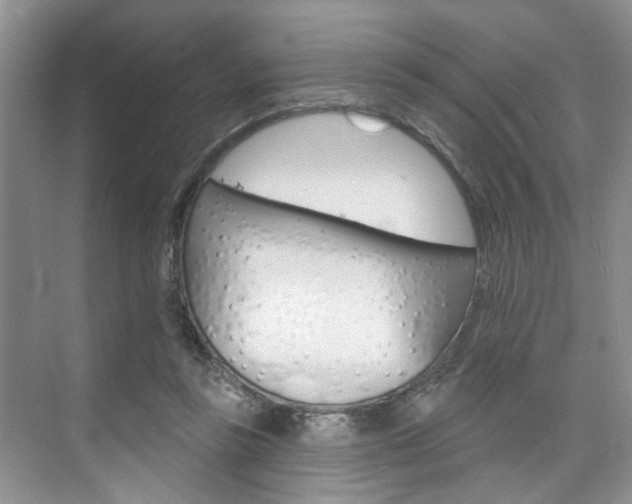 X0000076260355200609281026