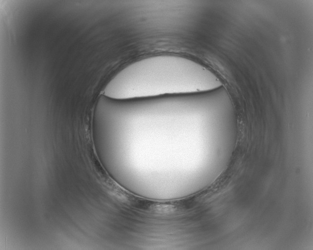 X0000076260361200609281026