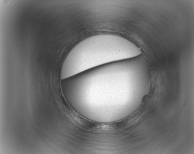 X0000076260365200609281026