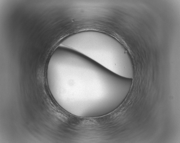 X0000076260386200609281025