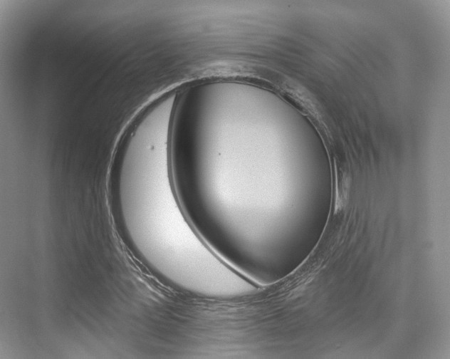 X0000076260387200609281025