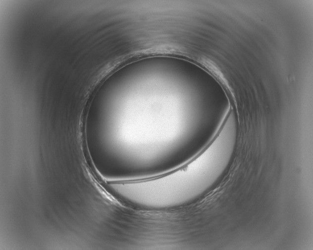 X0000076260389200609281025
