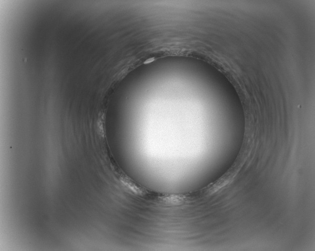 X0000076260432200609281024