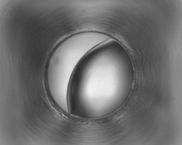 X0000076260434200609281024