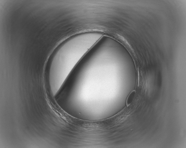 X0000076260435200609281024