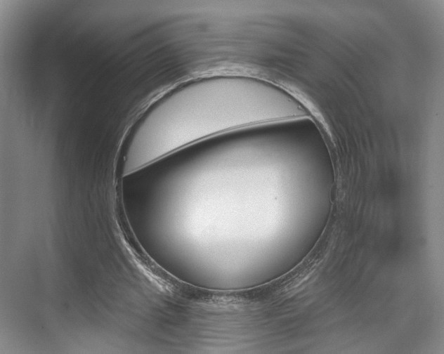X0000076260437200609281024