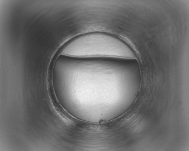 X0000076260439200609281024