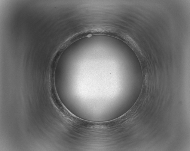 X0000076260444200609281024
