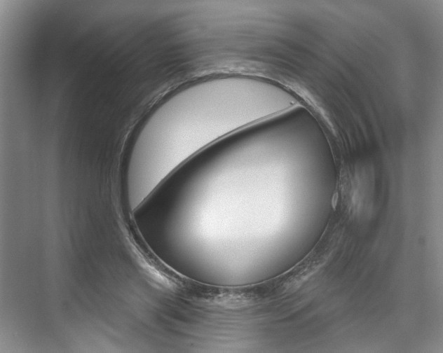 X0000076260445200609281024