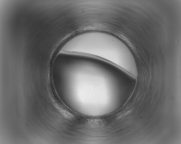 X0000076260446200609281024