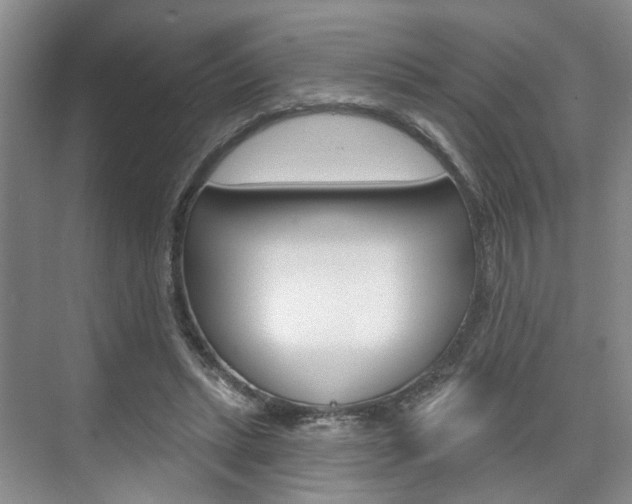 X0000076260447200609281024