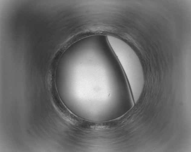X0000076260448200609281024